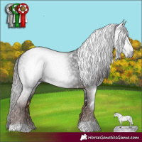 Horse Color:Gray White Spotted Liver Chestnut 