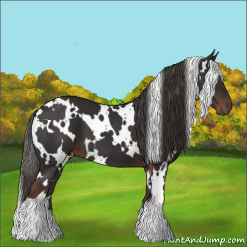 Horse Color:White Spotted Liver Chestnut 