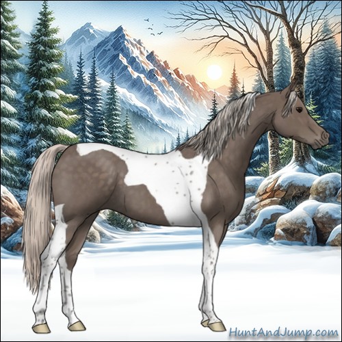 Horse Color:Silver Blue Roan Tobiano