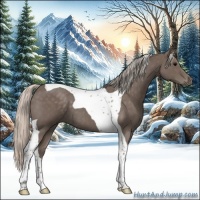 Horse Color:Silver Blue Roan Tobiano 