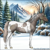Horse Color:Silver Blue Roan Tobiano 