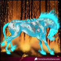 Horse Color:Thunderstruck Black Ice Sabino Splash