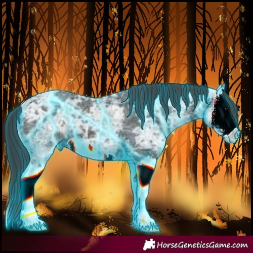 Horse Color:Thunderstruck Black Ice Splash 