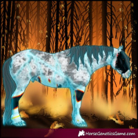 Horse Color:Thunderstruck Black Ice Splash 