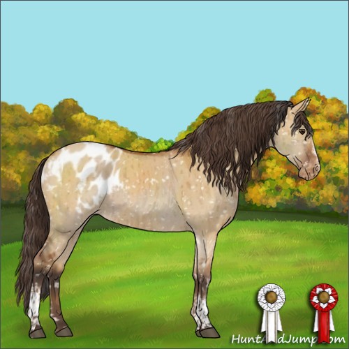 Horse Color:Brown Dun Sabino Tobiano Appaloosa Brindle  and White Spotted Buckskin Dun Sabino Appaloosa Brindle 