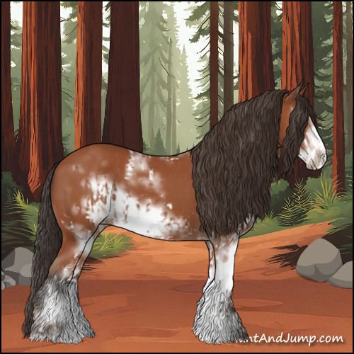 Horse Color:Bay Sabino and Bay Sabino Frame