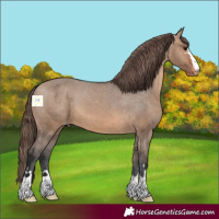 Horse Color:Brown Dun Varnish 
