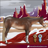 Horse Color:Liver Chestnut Rabicano