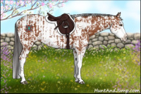 Horse Color:Bay Sabino  and Bay Sabino 