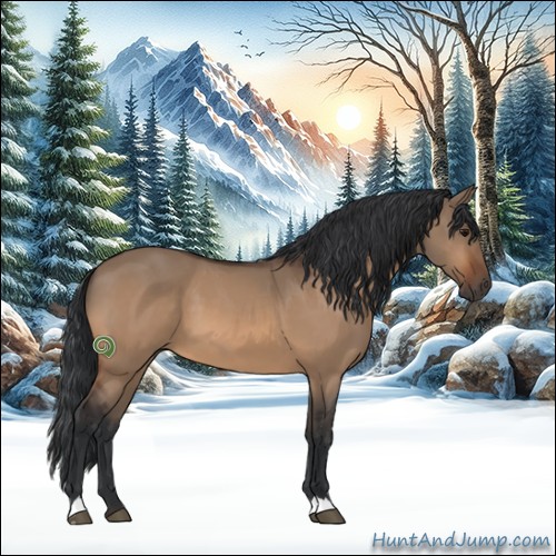 Horse Color:Bay Dun