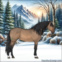 Horse Color:Bay Dun