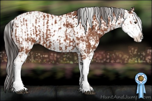 Horse Color:Bay Sabino  and Bay Sabino 