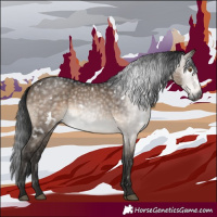Horse Color:Gray White Spotted Brown Dun Mushroom 