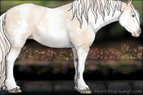 Horse Color:White Spotted Gold Cream Champagne Pearl 
