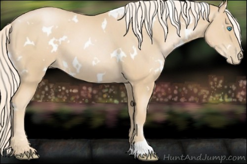 Horse Color:White Spotted Palomino Pearl 