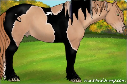 Horse Color:Gold Champagne Tobiano 