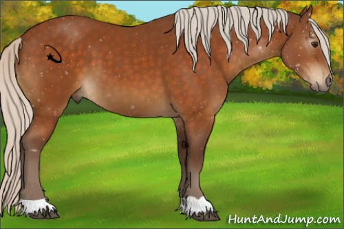 Horse Color:Silver Buckskin 