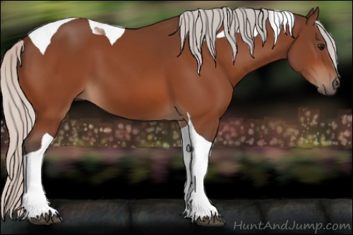 Horse Color:Silver Bay Tobiano 