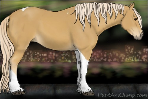Horse Color:Palomino Tobiano 