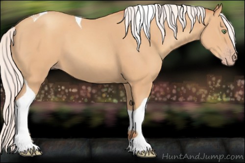 Horse Color:Silver Amber Champagne Tobiano