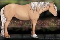 Horse Color:Silver Classic Champagne 