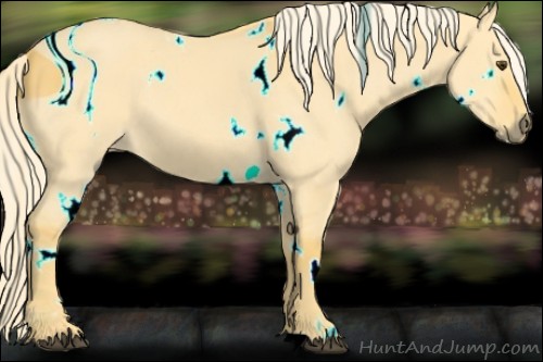 Horse Color:ERROR: UNKNOWN ANOMALY