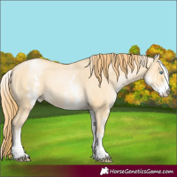 Horse Color:White Spotted Buckskin Pearl Dun 