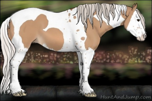 Horse Color:Silver Bay Dun Splash Tobiano 