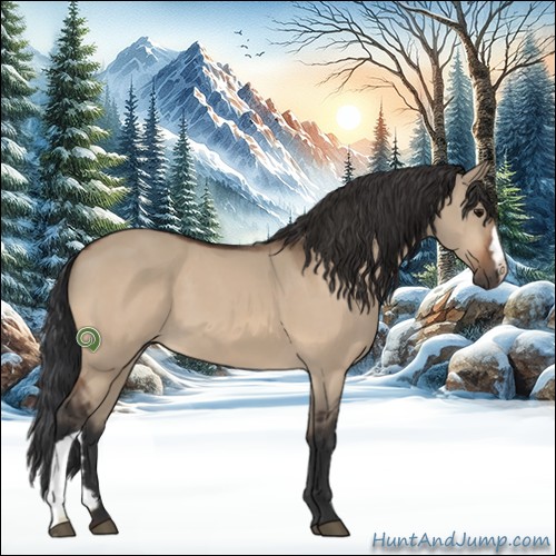 Horse Color:Bay Dun