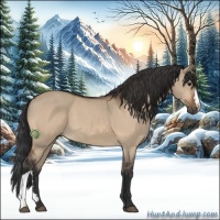 Horse Color:Bay Dun