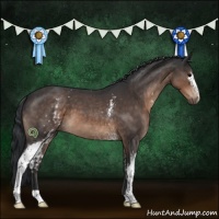 Horse Color:White Spotted Brown Roan 