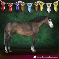 Horse Color:Brown Dun Sabino