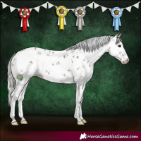 Horse Color:White Spotted Silver Brown Dun Sabino