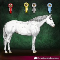 Horse Color:White Spotted Silver Brown Dun Sabino 
