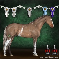 Horse Color:White Spotted Silver Brown Dun