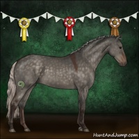 Horse Color:Silver Brown Dun 