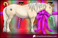 Horse Color:Palomino Pearl