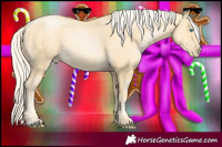 Horse Color:Palomino Pearl