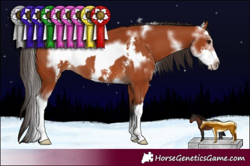 Horse Color:Bay Sabino  and Bay Sabino Frame 