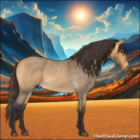 Horse Color:Buckskin Roan 