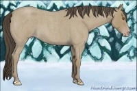 Horse Color:Classic Cream Champagne Roan