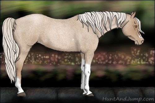 Horse Color:Silver Blue Roan Pearl Tobiano Frame