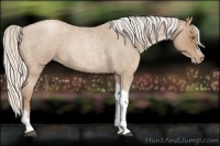 Horse Color:Silver Blue Roan Pearl Tobiano Frame 