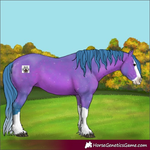 Horse Color:Watercolor Bay Splash 