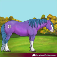 Horse Color:Watercolor Bay Splash
