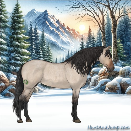 Horse Color:Bay Roan Dun 