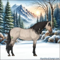 Horse Color:Bay Roan Dun 