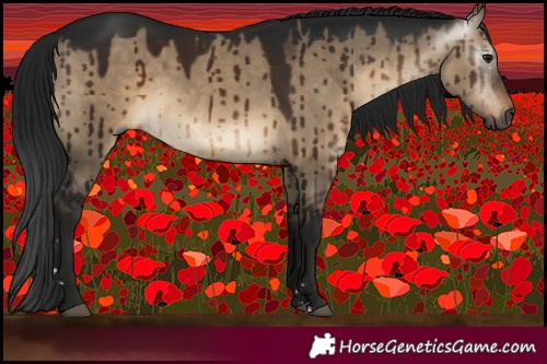 Horse Color:Gray Brown Dun Brindle 