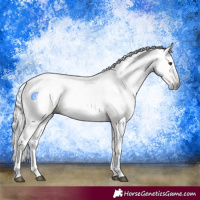 Horse Color:Gray Red Dun 