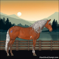 Horse Color:Silver Bay Tobiano Rabicano